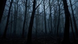 IMG_2641.jpeg